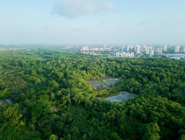 Smart cities : l'avenir de l'urbanisation ?