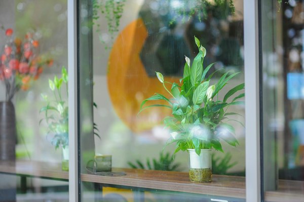 Embellissez vos murs avec des panneaux muraux tendance